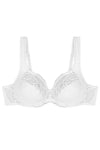  Soft model 229104 Triumph 