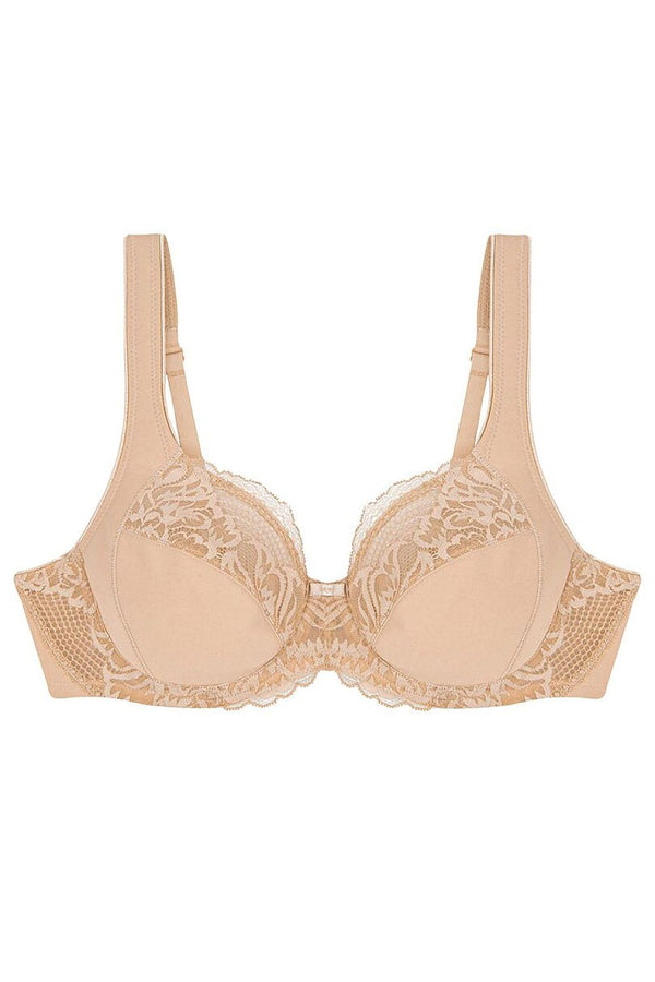  Soft model 229106 Triumph 