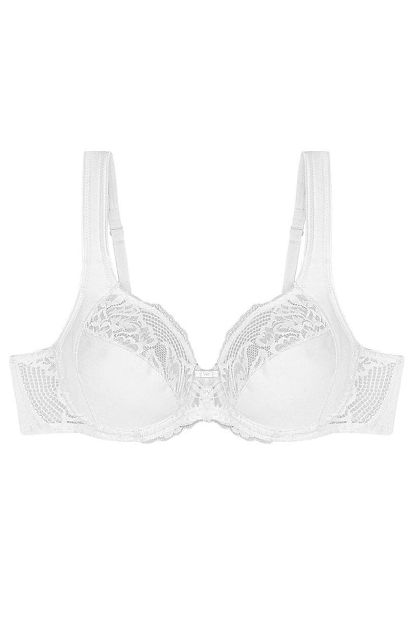  Soft model 229108 Triumph 