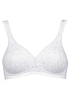  Soft model 229336 Triumph 