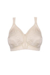  Soft model 229354 Triumph 