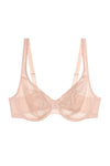  Soft model 229367 Triumph 