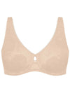  Soft model 229497 Triumph 