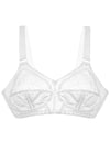  Soft model 229860 Triumph 