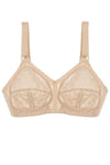 Soft model 229866 Triumph 