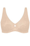  Soft model 229985 Triumph 