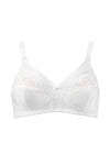  Soft model 229987 Triumph 