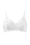  Soft model 229992 Triumph 