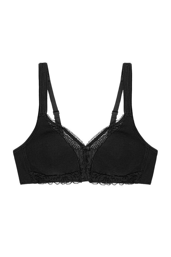  Soft model 229998 Triumph 