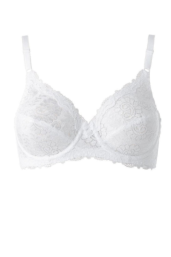  Soft model 230069 Triumph 