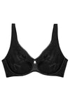  Soft model 230212 Triumph 