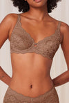  Soft model 230231 Triumph 