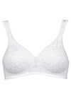  Soft model 230240 Triumph 