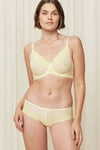  Soft model 230249 Triumph 