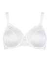  Soft model 230270 Triumph 