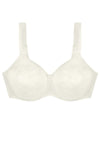  Soft model 230705 Triumph 