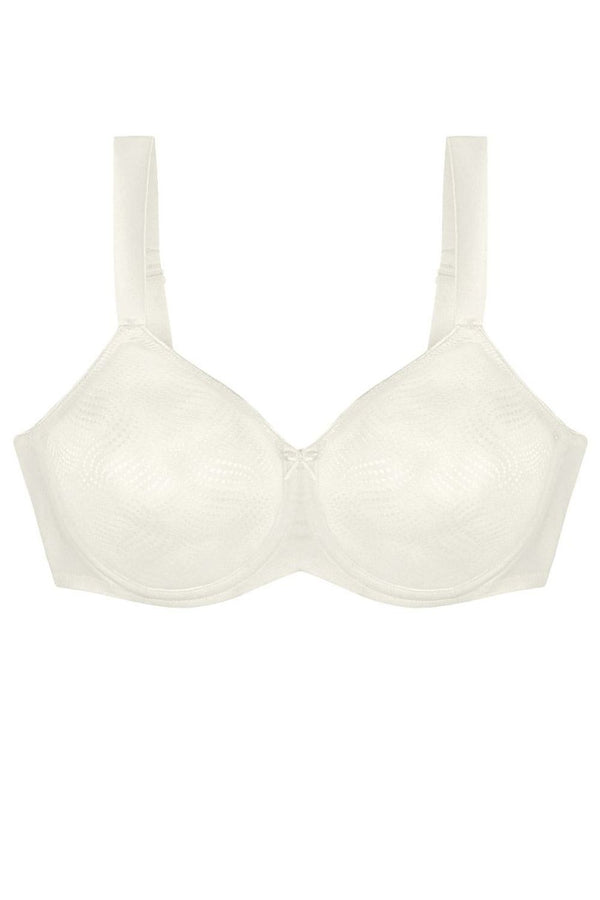  Soft model 230705 Triumph 