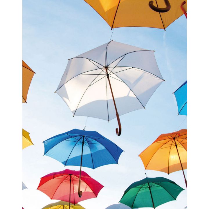 Pullin Master Organic Cotton Men's Boxers - Parapluie Umbrellas